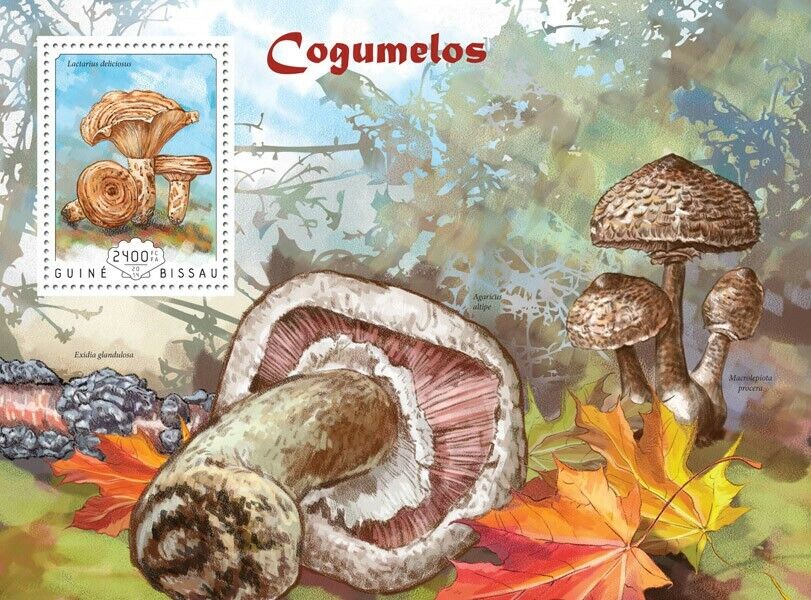 Guines-bissau 2014 Mnh. Mushrooms   |  Michel Code: 7335 / Bl.1285